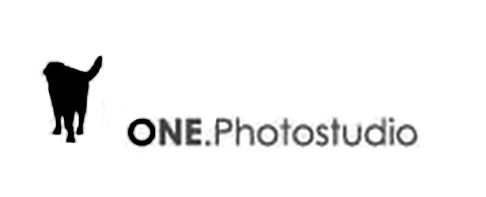 ONE.Photostudio | Fotostudio | Dresden, Sachsen